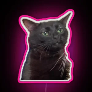 Zoned Out Cat RGB Neon Sign