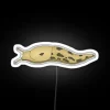 Banana Slug RGB Neon Sign - Image 5