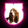 Basset Hound Big Ears But Not Listening Design Idea Design Product RGB Neon Sign - Image 6