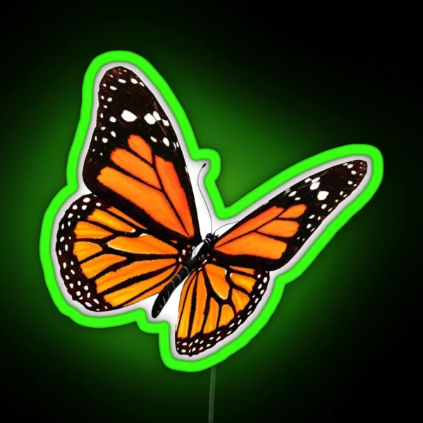 Be A Butterfly RGB Neon Sign