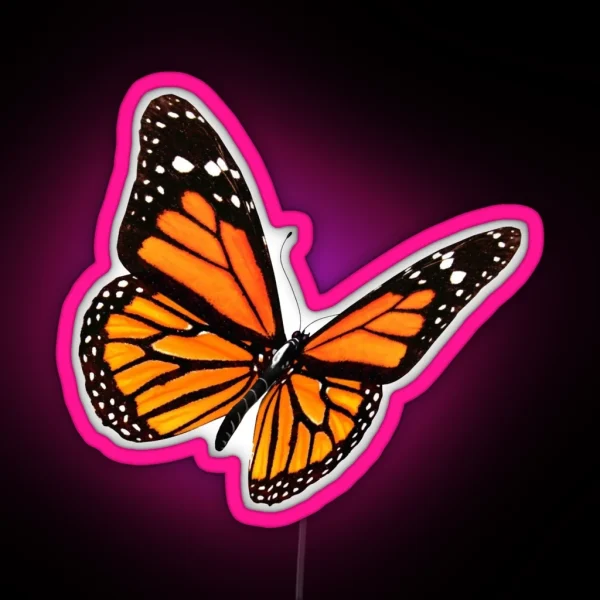 Be A Butterfly RGB Neon Sign