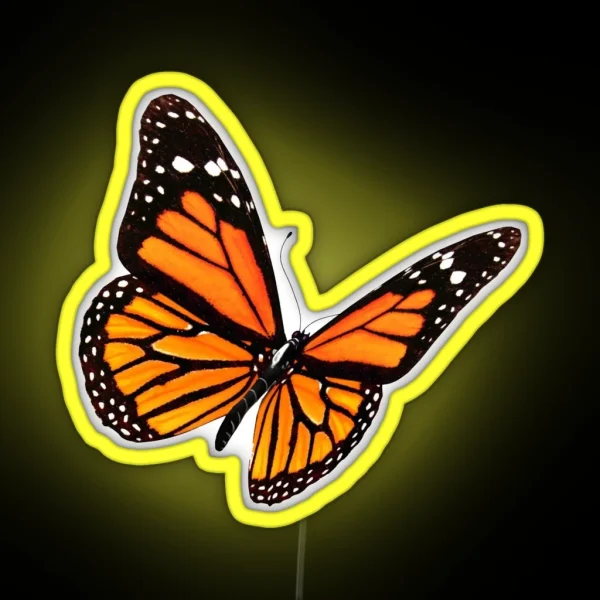 Be A Butterfly RGB Neon Sign