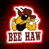 Bee Haw Buzzy Boy Bumblebee Yellow Jacket Led RGB Neon Sign