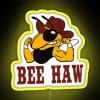Bee Haw Buzzy Boy Bumblebee Yellow Jacket Led RGB Neon Sign - Image 5