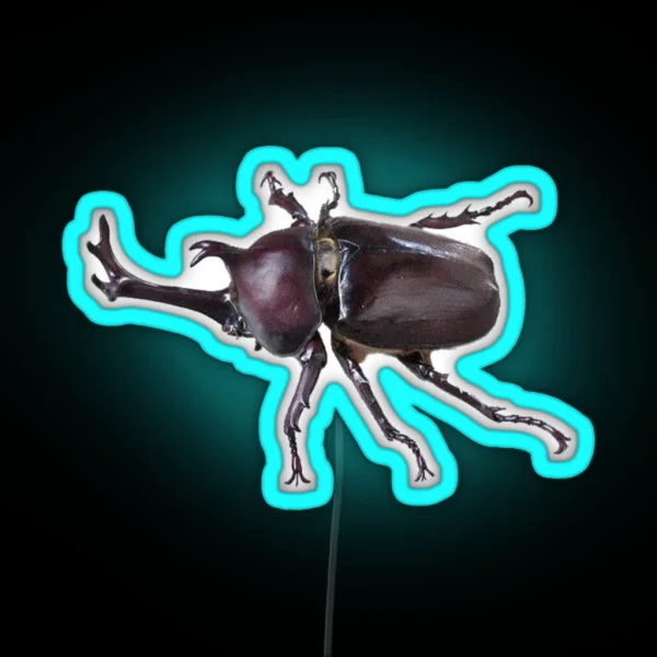 Beetle RGB Neon Sign