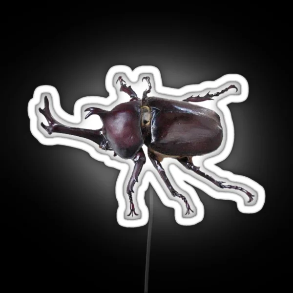 Beetle RGB Neon Sign