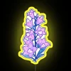 Bellflower Bunnies RGB Neon Sign - Image 5