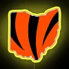 Bengals Ohio RGB Neon Sign - Image 5