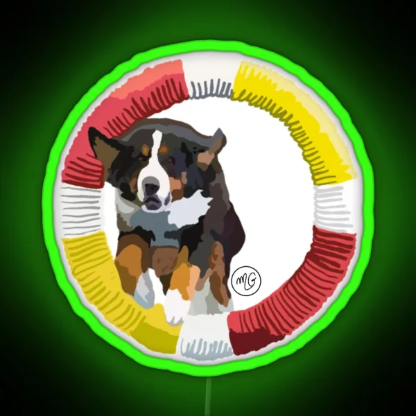 Bernese Mountain Dog Agility RGB Neon Sign