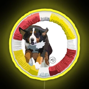 Bernese Mountain Dog Agility RGB Neon Sign