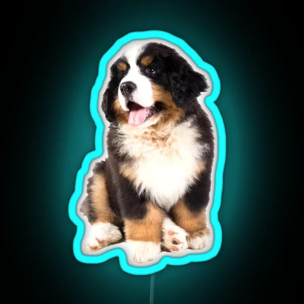 Bernese Mountain Dog Puppy RGB Neon Sign