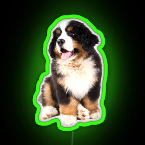 Bernese Mountain Dog Puppy RGB Neon Sign
