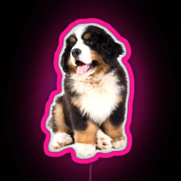 Bernese Mountain Dog Puppy RGB Neon Sign