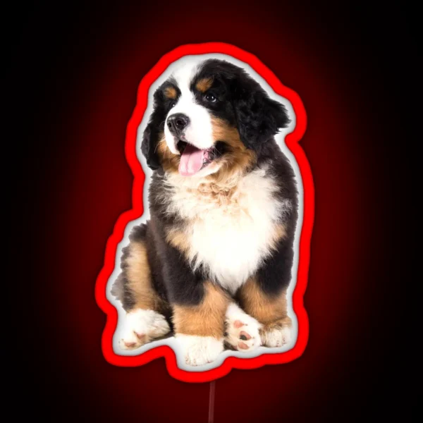 Bernese Mountain Dog Puppy RGB Neon Sign