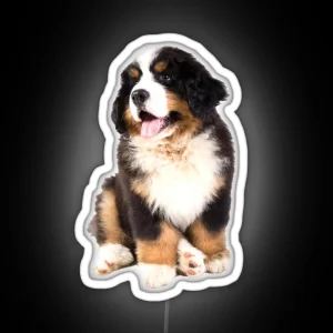 Bernese Mountain Dog Puppy RGB Neon Sign