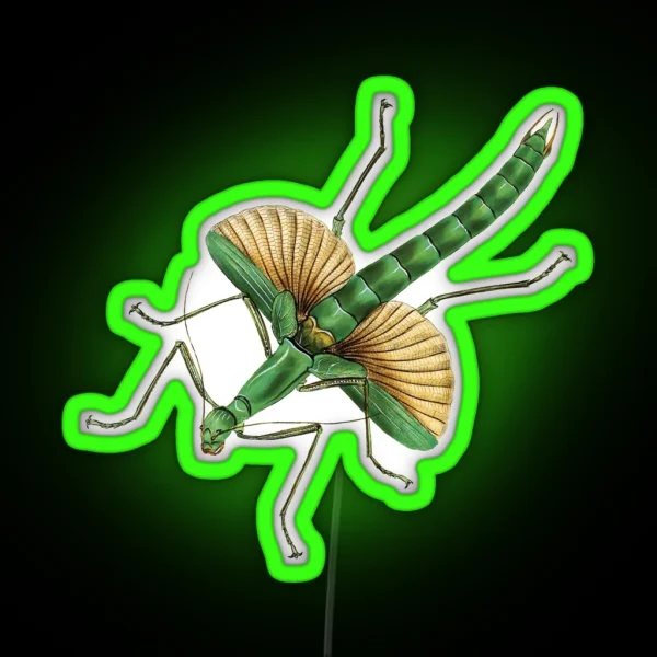 Big Green Stick Insect RGB Neon Sign