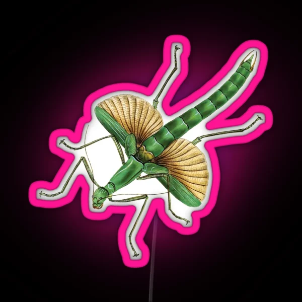 Big Green Stick Insect RGB Neon Sign
