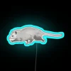 Big Steppy Opossum RGB Neon Sign - Image 3