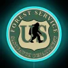 Bigfoot Department Forest Service RGB Neon Sign - Image 3
