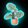Black Cat In Monstera RGB Neon Sign - Image 3