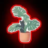 Black Cat In Monstera RGB Neon Sign - Image 2