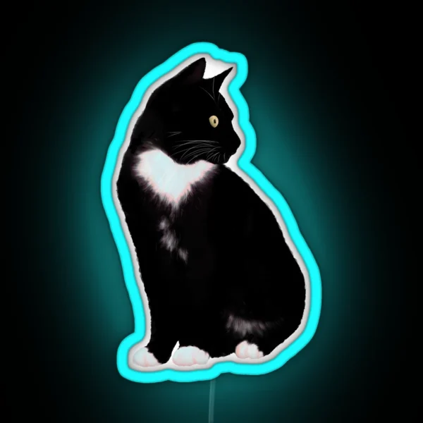 Black Cat RGB Neon Sign