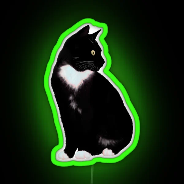 Black Cat RGB Neon Sign