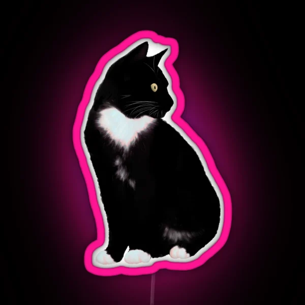 Black Cat RGB Neon Sign