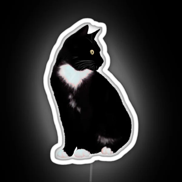 Black Cat RGB Neon Sign
