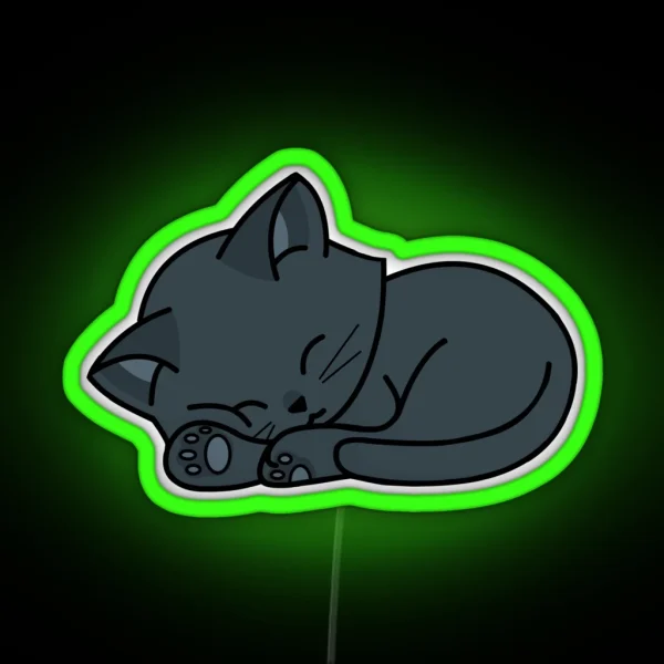 Black Cat Sleeping RGB Neon Sign