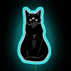 Black Cat Time Lord RGB Neon Sign - Image 2
