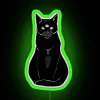 Black Cat Time Lord RGB Neon Sign - Image 3