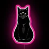 Black Cat Time Lord RGB Neon Sign - Image 6