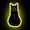 Black Cat Time Lord RGB Neon Sign - Image 5