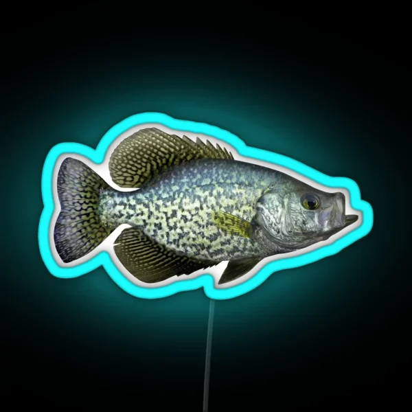 Black Crappie RGB Neon Sign