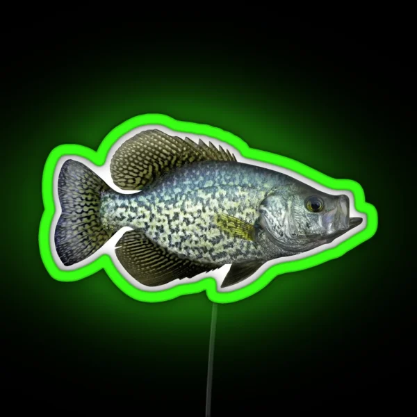 Black Crappie RGB Neon Sign