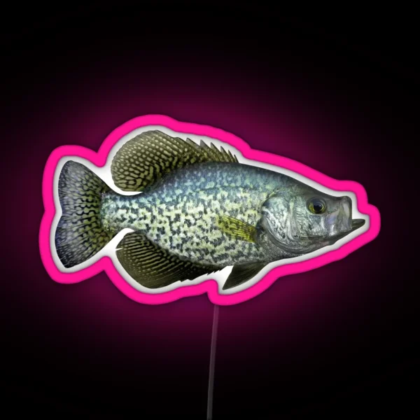Black Crappie RGB Neon Sign