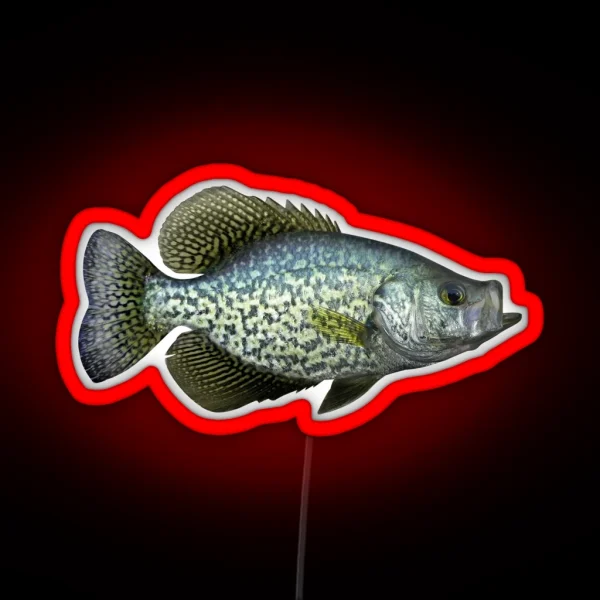 Black Crappie RGB Neon Sign