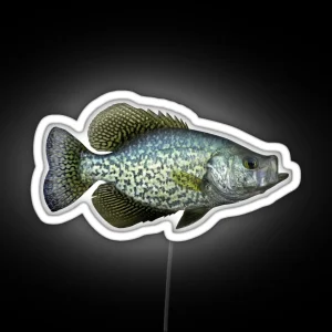 Black Crappie RGB Neon Sign