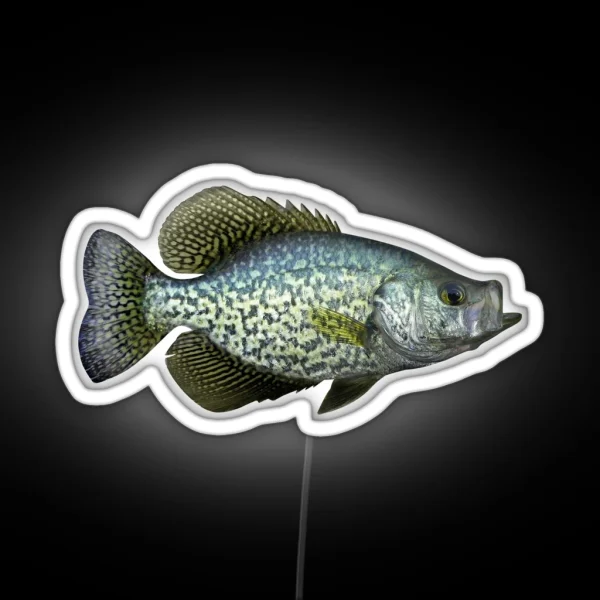 Black Crappie RGB Neon Sign