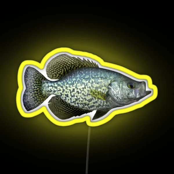 Black Crappie RGB Neon Sign