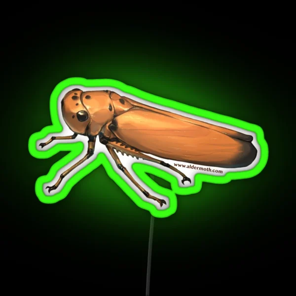 Black Tipped Leafhopper RGB Neon Sign