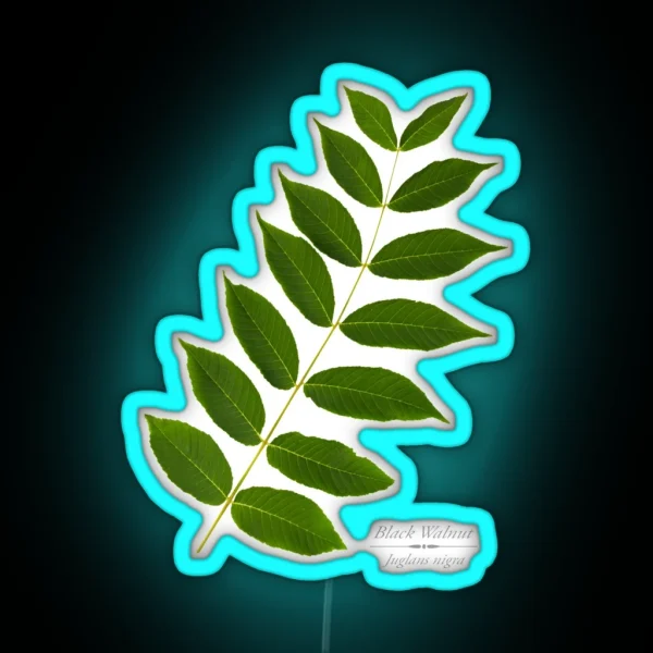 Black Walnut Tree RGB Neon Sign