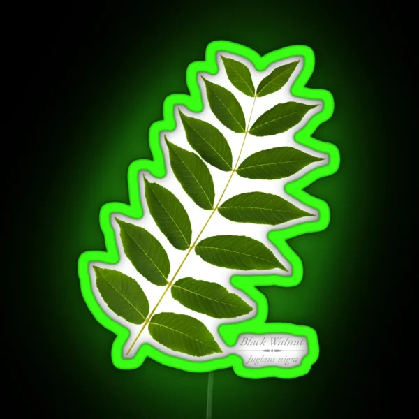 Black Walnut Tree RGB Neon Sign