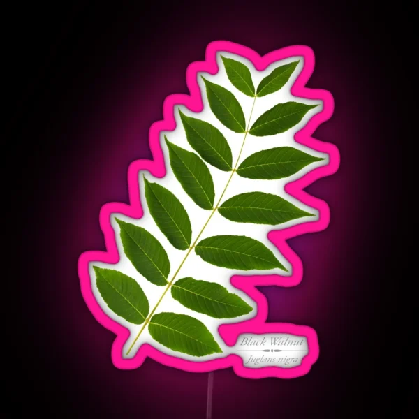 Black Walnut Tree RGB Neon Sign