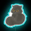 Blackcat I Don T Bring Bad Luck RGB Neon Sign - Image 3