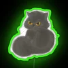 Blackcat I Don T Bring Bad Luck RGB Neon Sign - Image 4