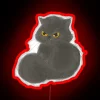 Blackcat I Don T Bring Bad Luck RGB Neon Sign - Image 2