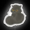 Blackcat I Don T Bring Bad Luck RGB Neon Sign - Image 5