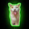 BLEH Cat RGB Neon Sign - Image 4
